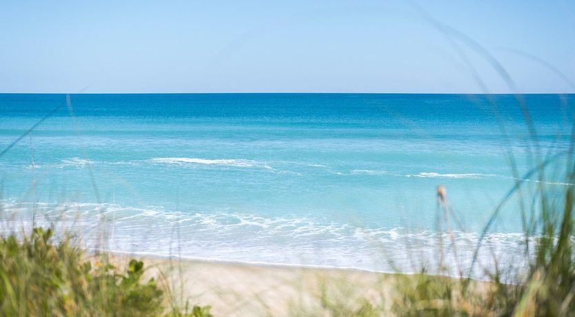 Photo of The Queen of the Mountain