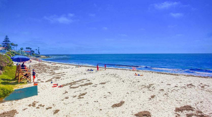 Photo of Rockin' in the Roundabout