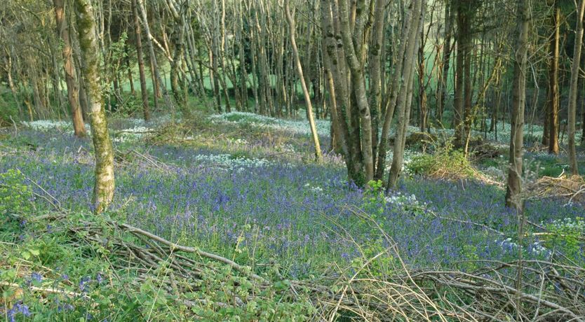 Photo of The Victorian Piggery