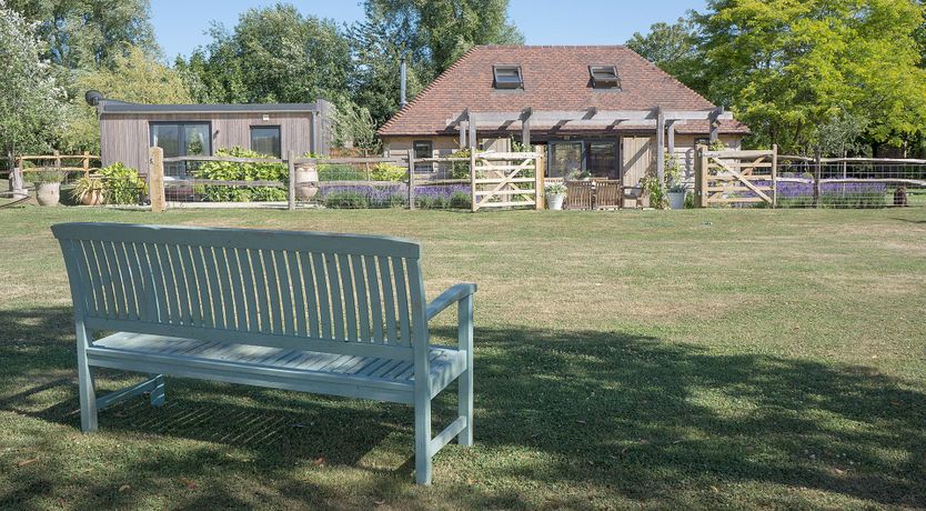 Photo of Scented Lavender