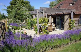 Photo of scented-lavender