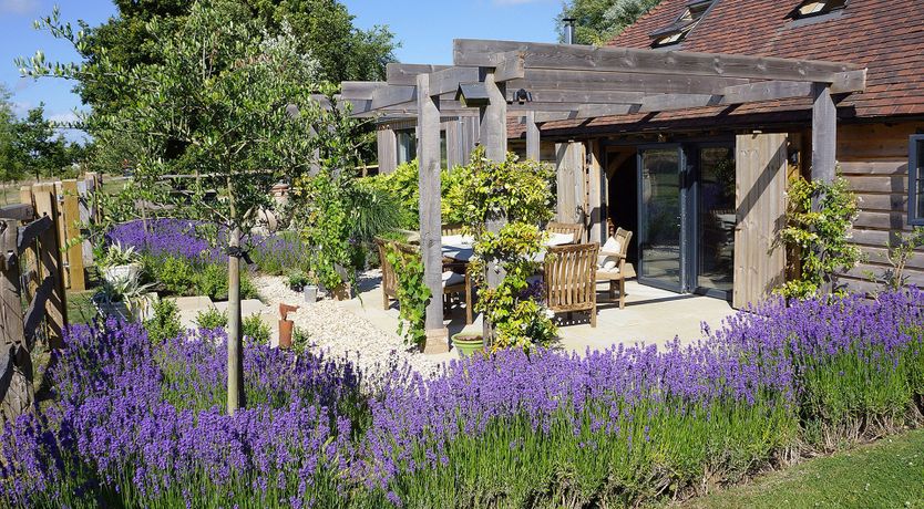 Photo of Scented Lavender