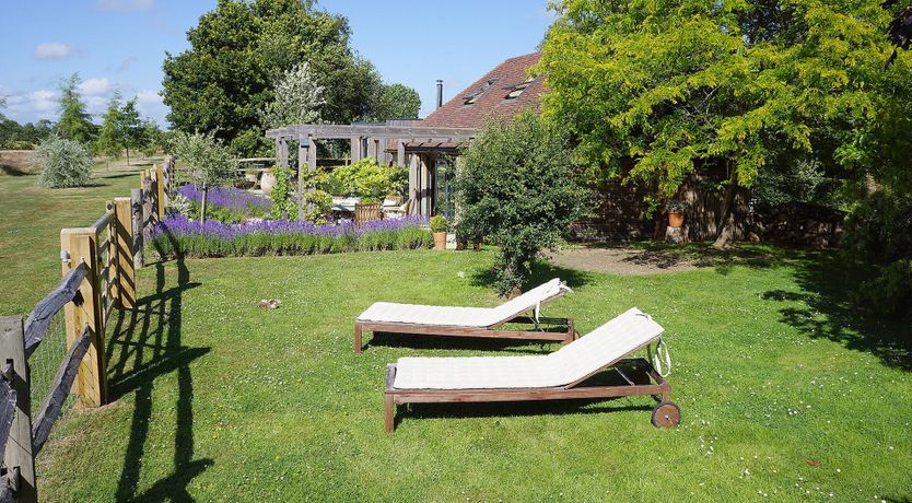 Photo of Scented Lavender