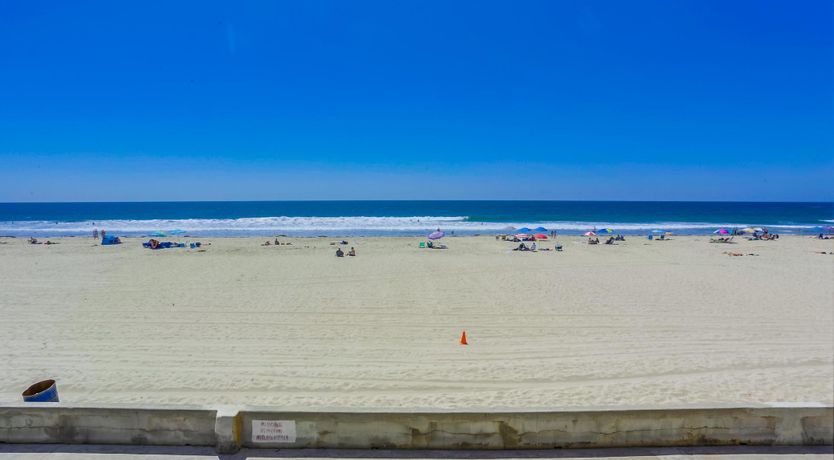 Photo of Rockaway the Seashells