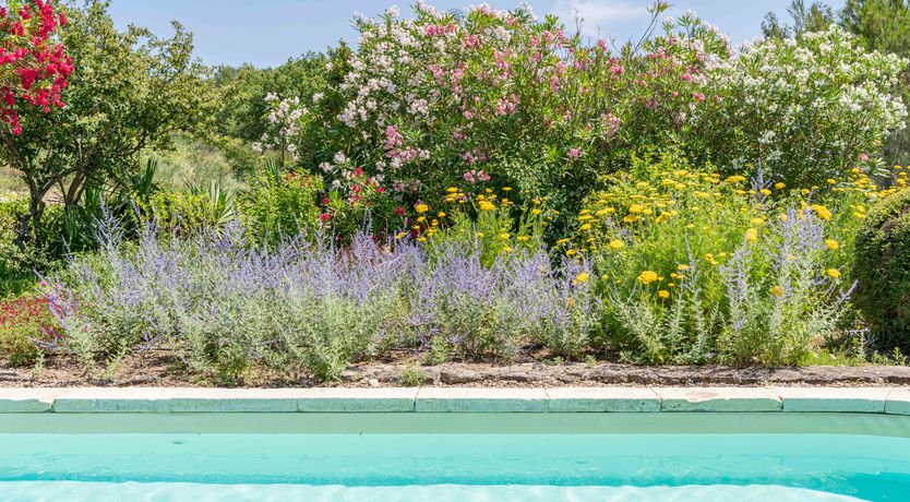 Photo of The Prosecco Garden