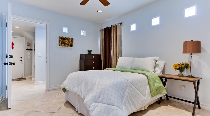 Photo of Little Blue in San Diego