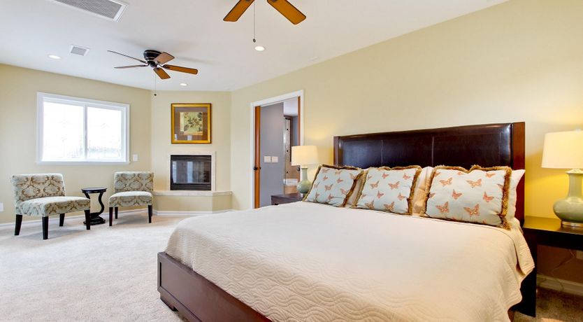 Photo of Little Blue in San Diego