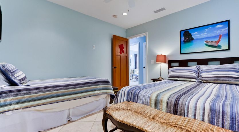 Photo of Little Blue in San Diego