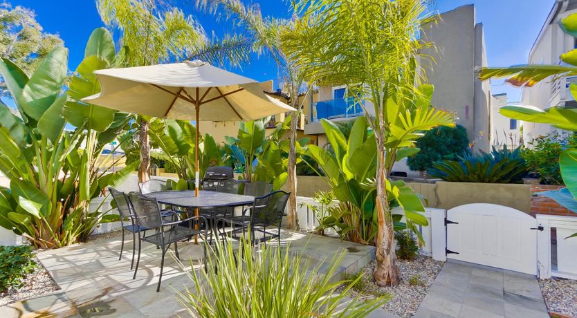 Photo of Little Blue in San Diego