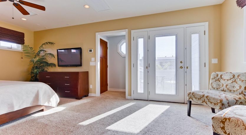 Photo of Little Blue in San Diego