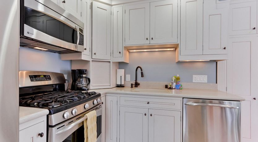 Photo of Little Blue in San Diego