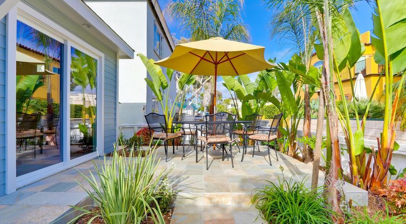 Photo of Little Blue in San Diego