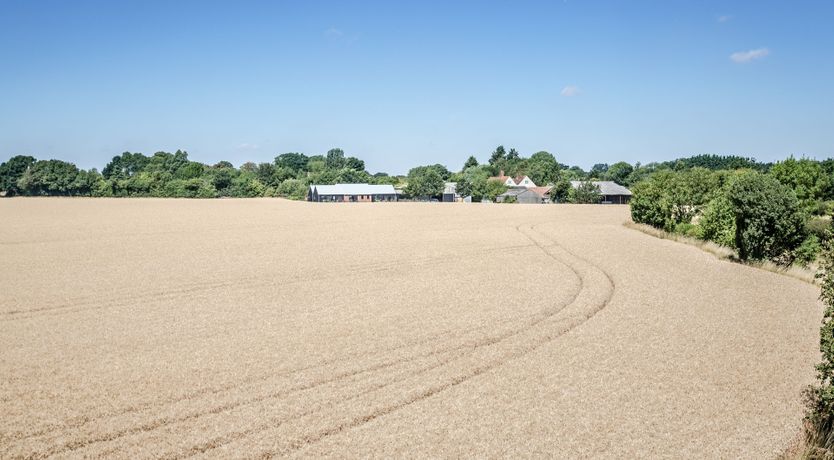 Photo of As Fine As Straw