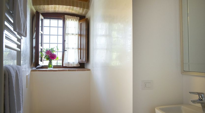 Photo of Love in the Sun