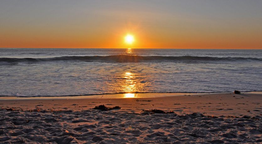 Photo of The Ocean Dream