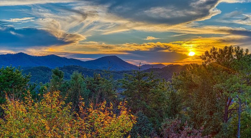 Photo of Pioneers in the Sky