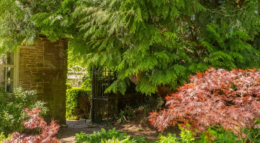 Photo of The Mosswood