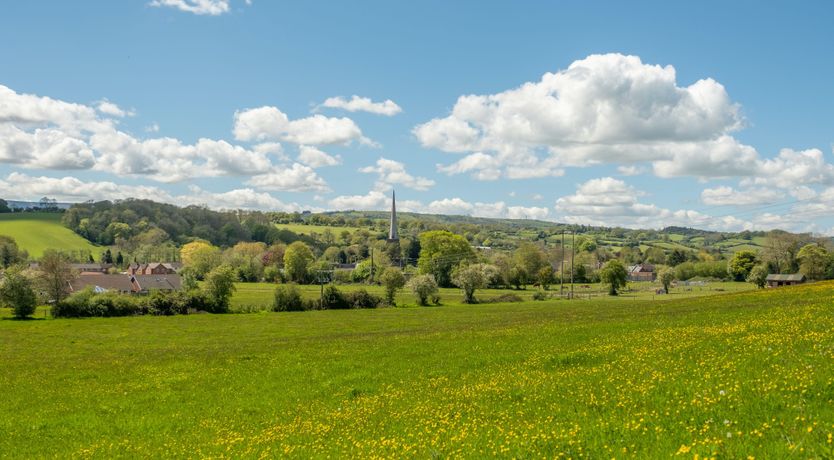 Photo of The Mosswood