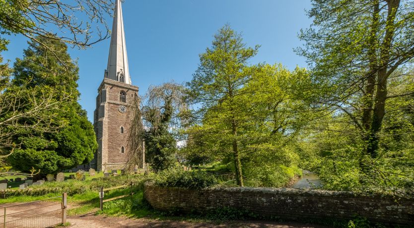 Photo of The Mosswood