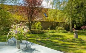 Photo of The Mosswood