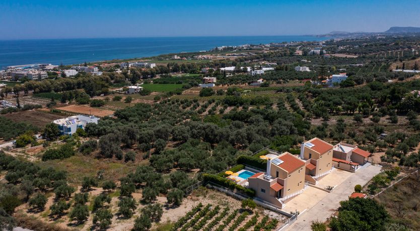 Photo of Butter Yellow