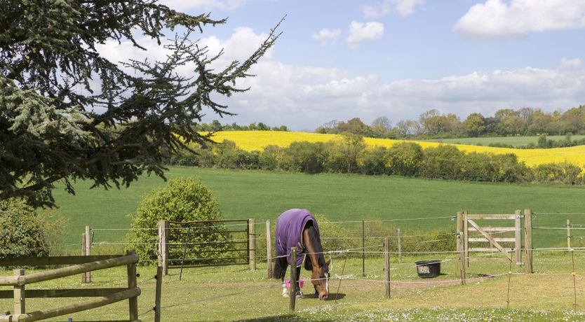 Photo of The Harvester