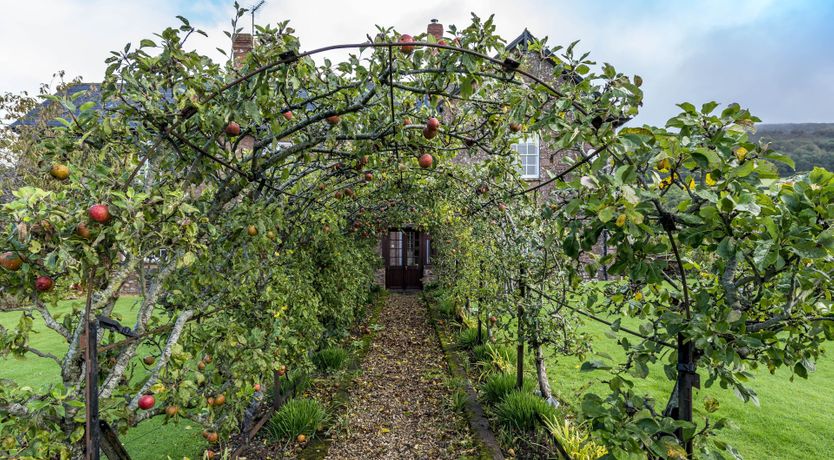 Photo of The Barn Owl's Lodge