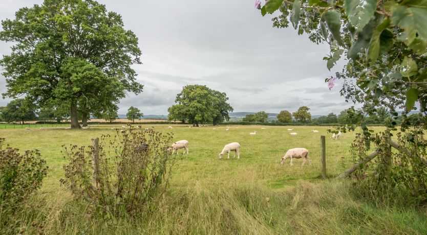Photo of The Chestnut Barn