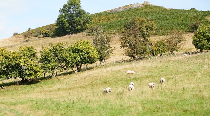 Photo of The Shropshire Cottage