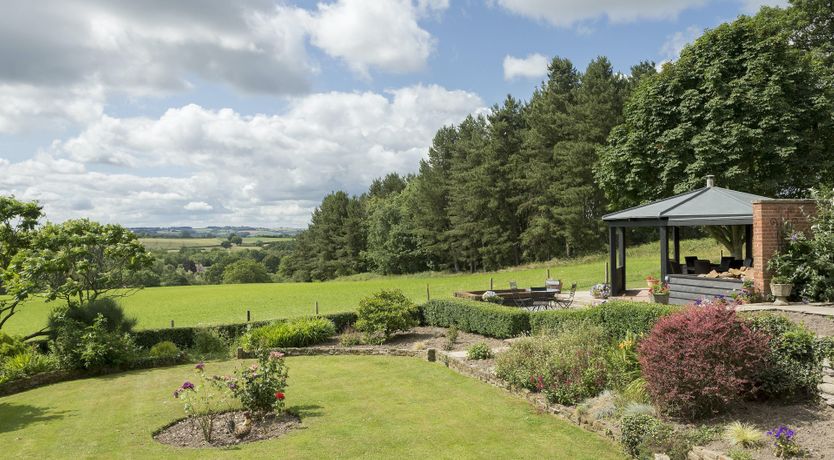 Photo of Meadow Charm