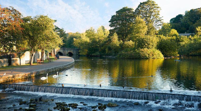 Photo of The Barn Owl's Home