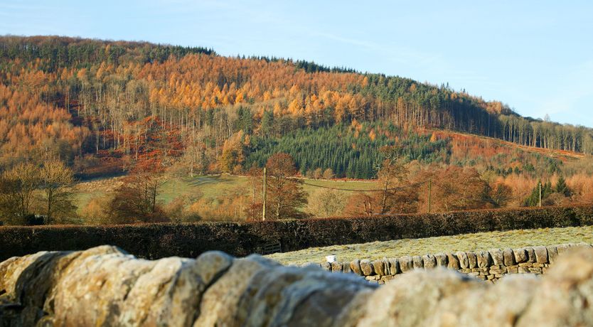 Photo of The Barn Owl's Home