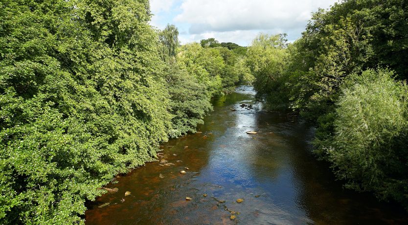 Photo of The Barn Owl's Home
