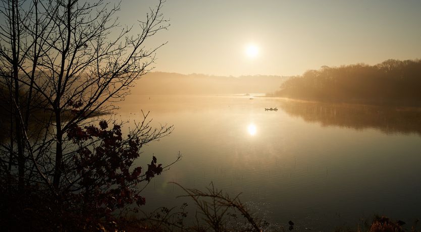 Photo of The Barn Owl's Home