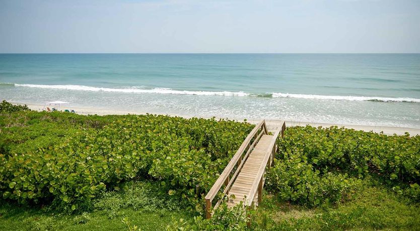 Photo of Shimmering Love