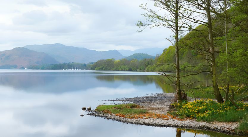Photo of The Cumbrian Hearth