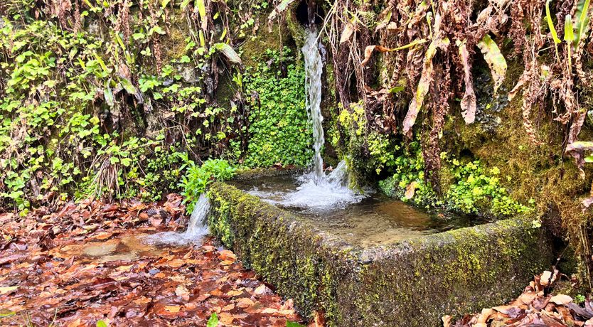 Photo of The Tower at Birch Cleave Barns