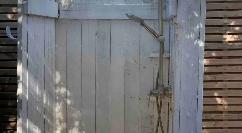 Photo of Coastal Cotton