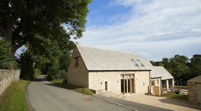 Photo of The Dove's Wings