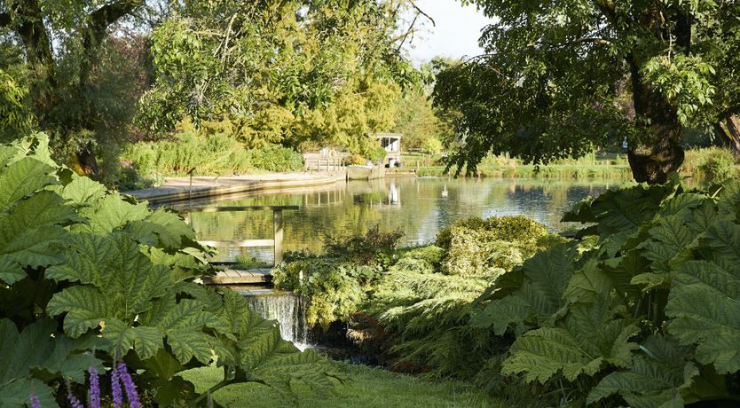 Photo of The Dove's Wings