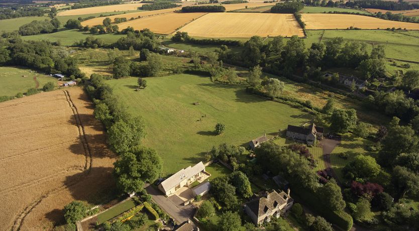 Photo of The Dove's Wings