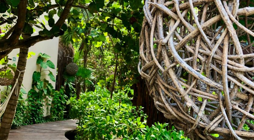 Photo of Wild & Free