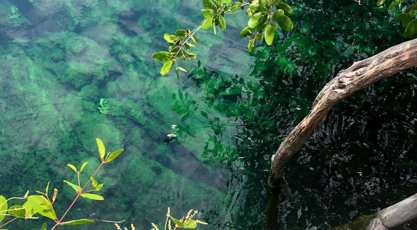 Photo of Wild & Free