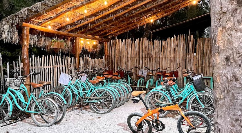 Photo of Wild & Free