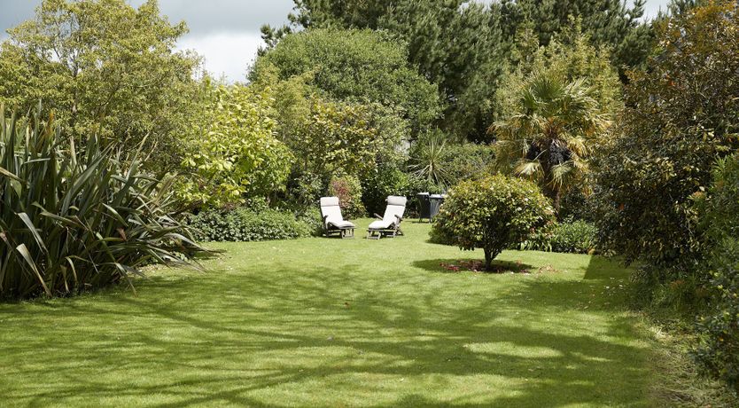 Photo of A Book of Love