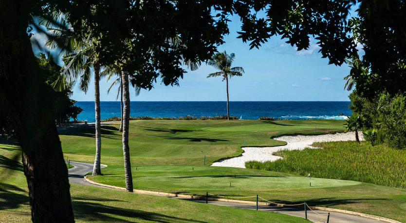 Photo of White Sand Wonder