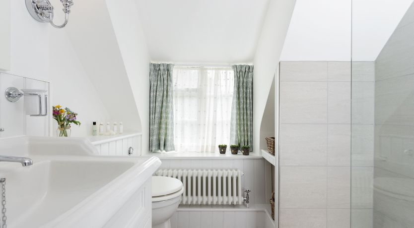 Photo of The Meadow Bloom