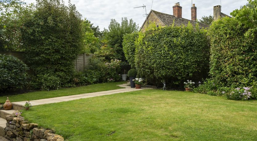 Photo of The Meadow Bloom