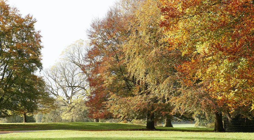 Photo of Victorian Times