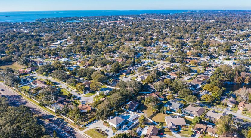 Photo of Palm Mansion